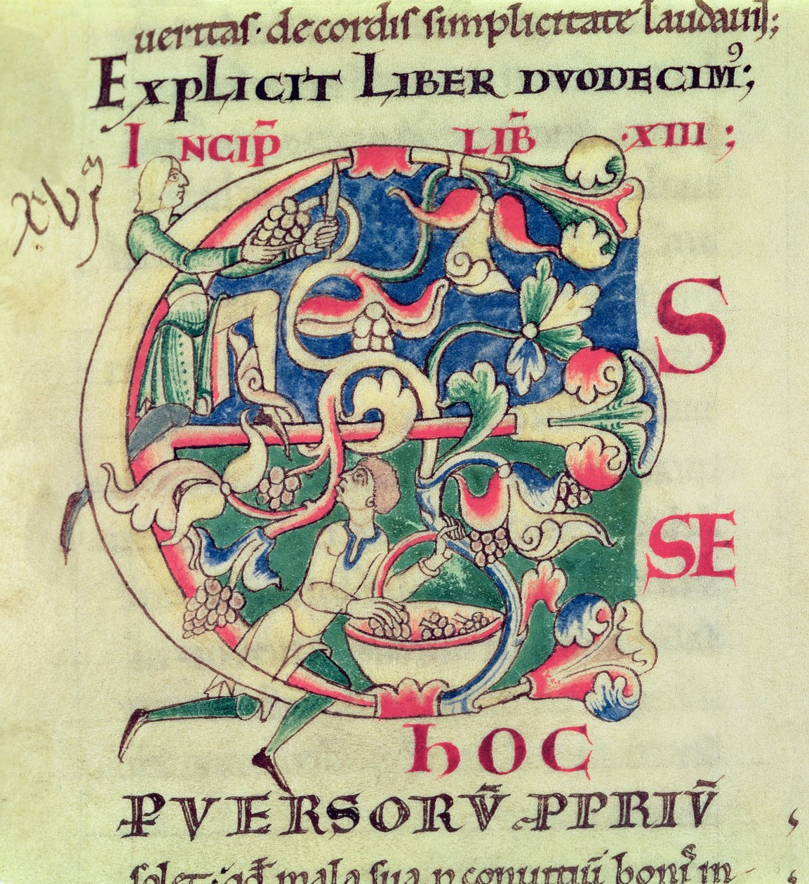 Ms 173 f.32 Historikert initial E som viser druehøsten, fra Moralia in Job av pave Gregor den store av French School