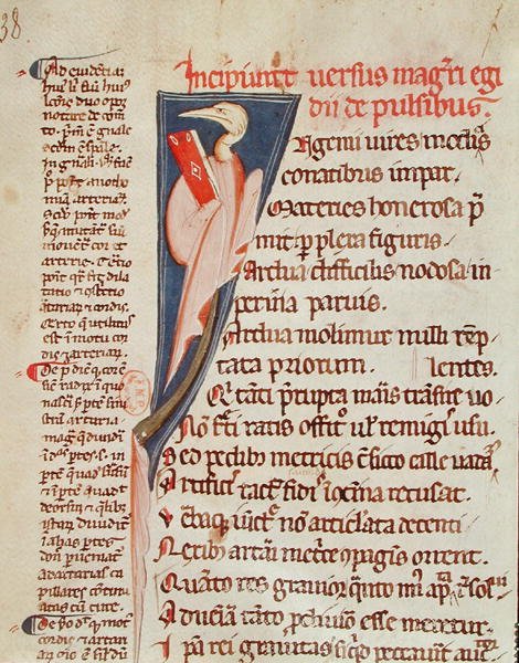Ms 2046 fol.438 En fugl som holder en bok av Gilles de Corbeil (1165-1222) fra 
