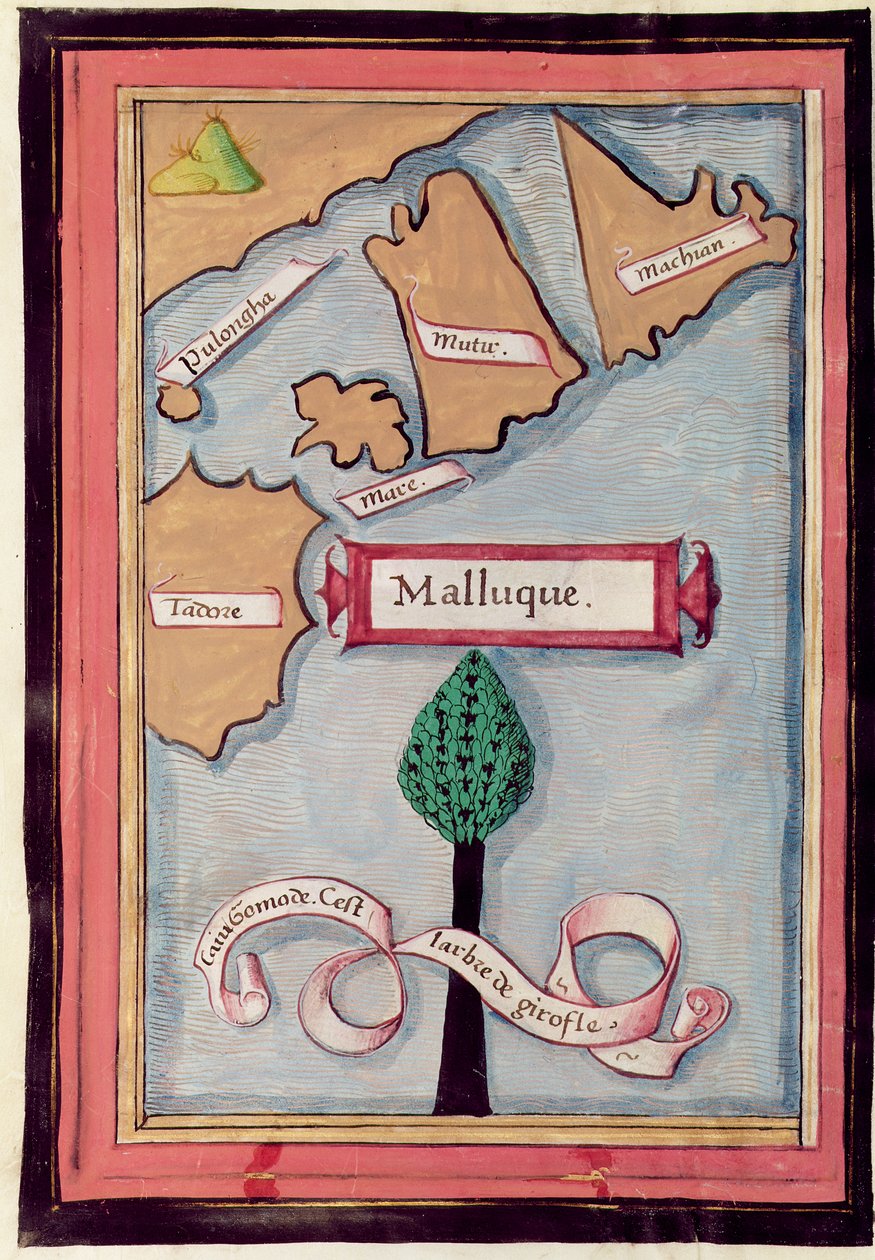 Ms 24224 Fol.73v Kart over krydderøyene fra en beretning om reisen til Ferdinand Magellan av French School