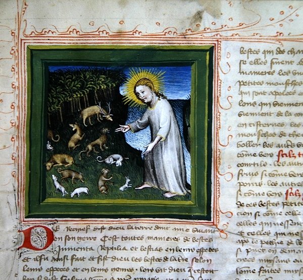 Ms 313 Creation of the Animals, fra Bible des Grands Augustins av French School