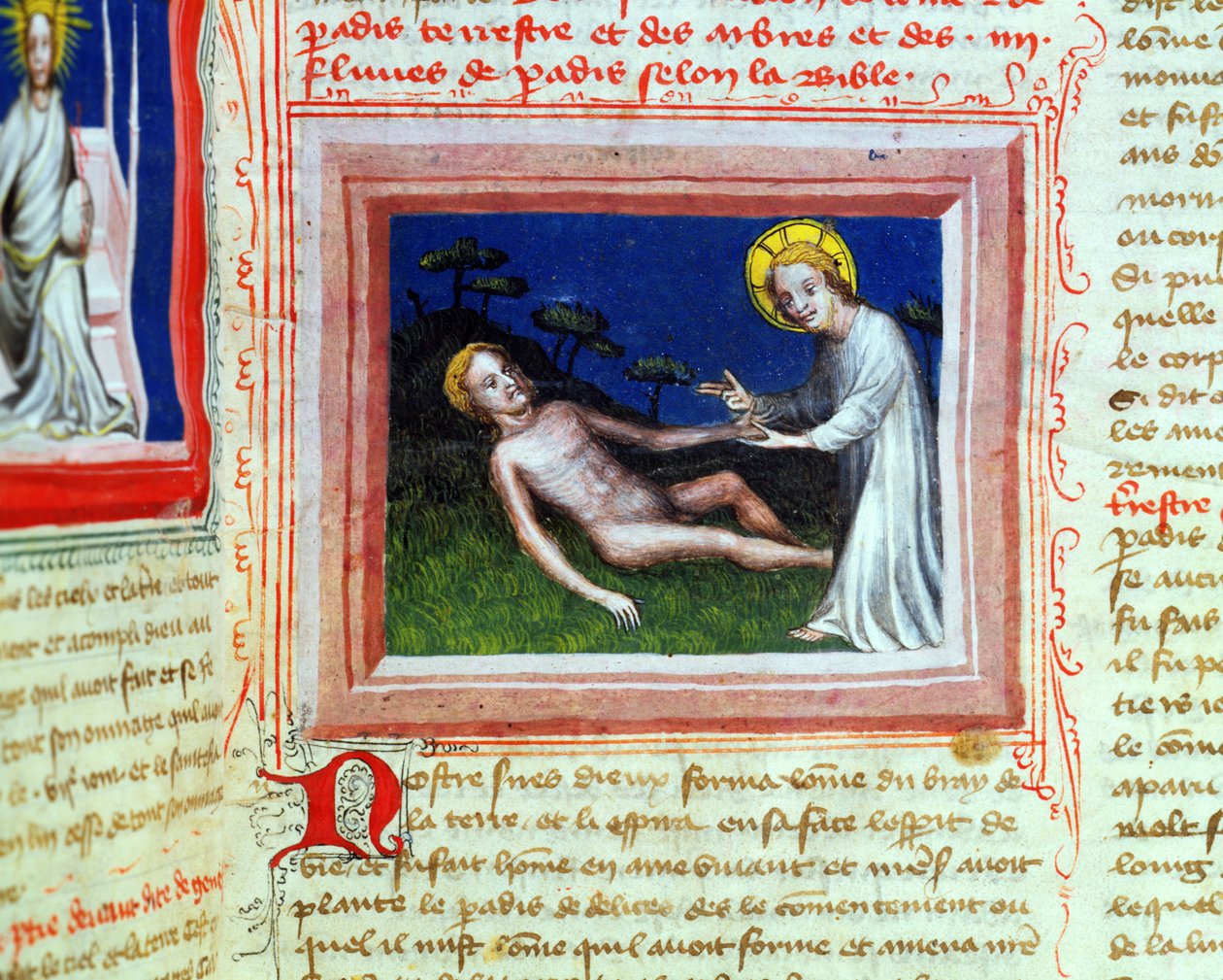 Ms 314 Creation of Adam, fra Bible des Grands Augustins, 1494 av French School