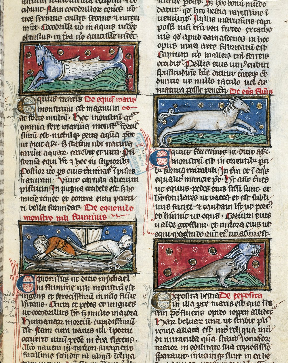 Ms 320 Fol.115r Sea Monsters, fra 'De Natura rerum' av Thomas van Cantimpre (1201-72) (vellum) av French School