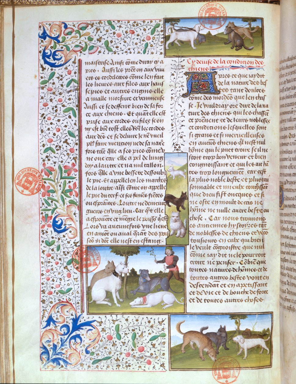 Ms 3717 jakthunder, fra Livre de la Chasse av Gaston Phebus de Foix (1331-91) (vellum) av French School
