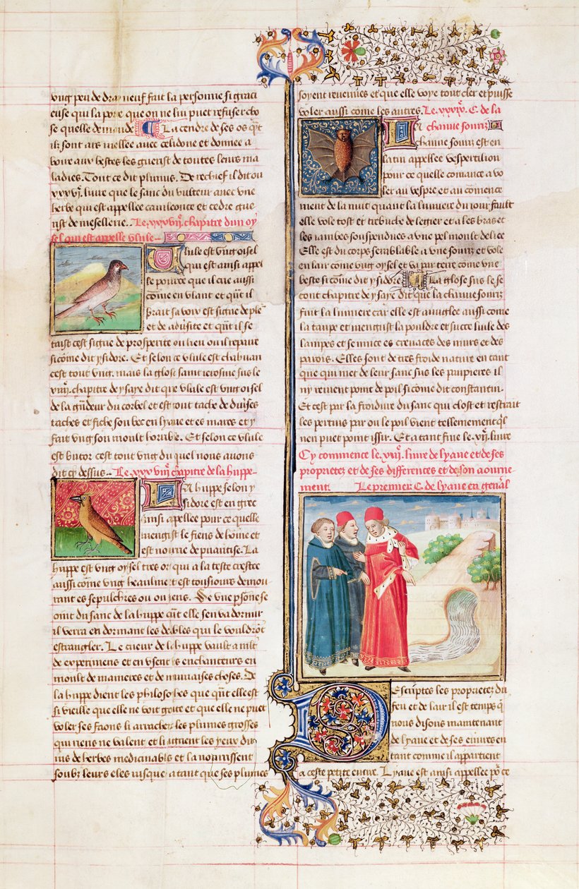 Ms 399 fol. 149 The Properties of the Tortoise, the Hoopoe and the Bat, fra 
