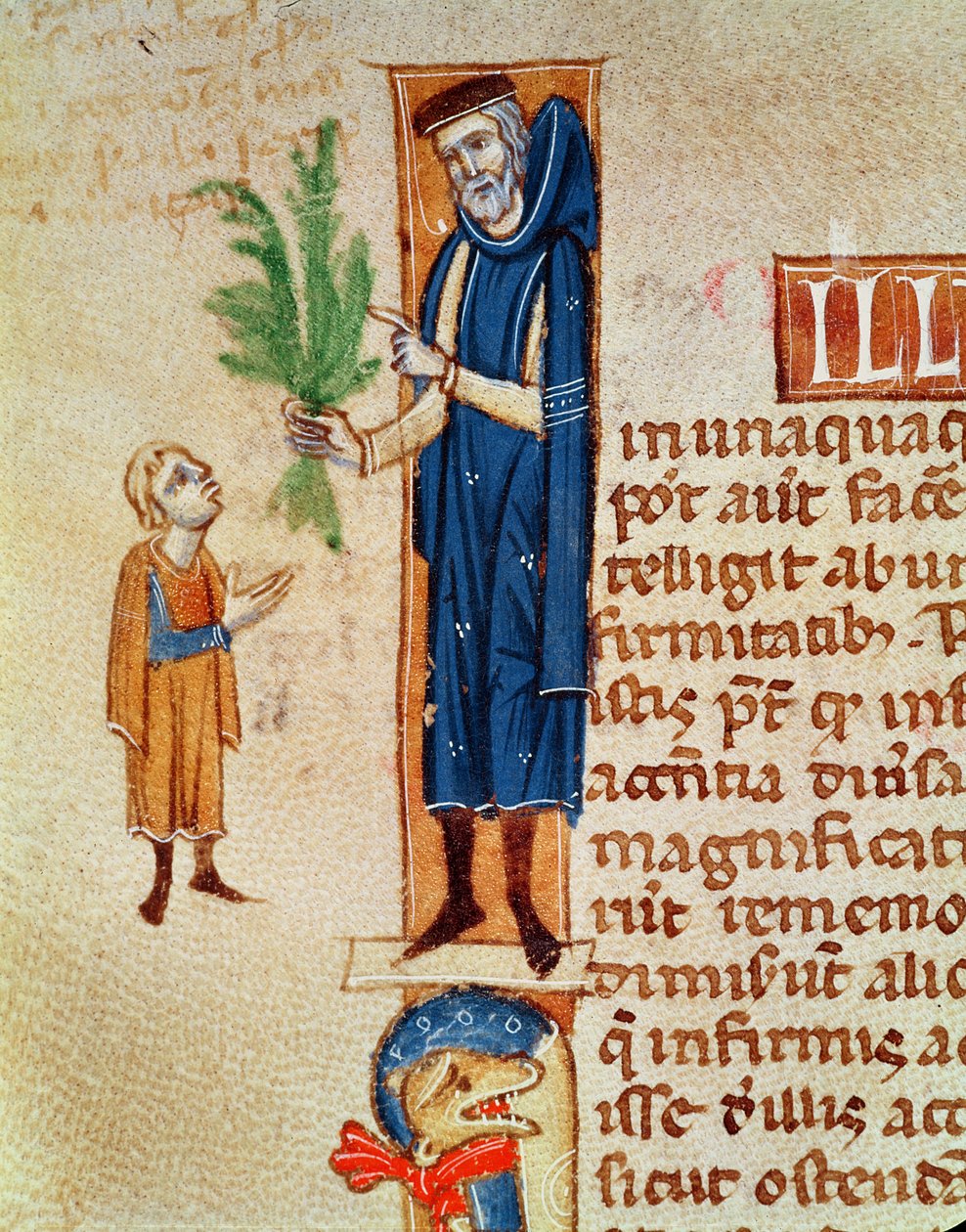 Ms 413 f.92v Medisinplanter, illustrasjon fra Traite de Medecine av Claudius Galenus (ca.130-c.201) oversatt av Gerard de Cremone (1114-87) av French School