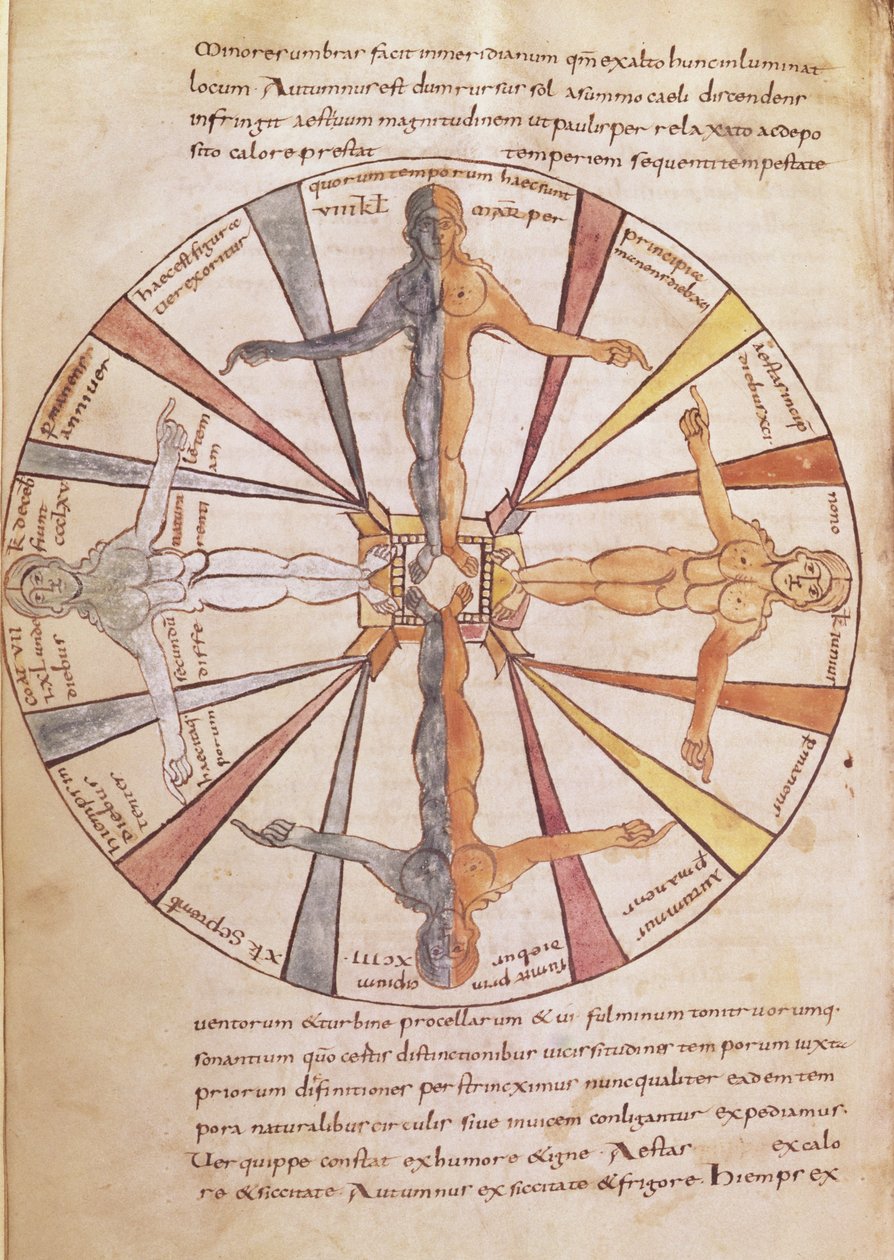Ms 422 fol.6v Årstidene og månedenes hjul, fra De Natura Rerum av St. Isidore of Sevilla av French School