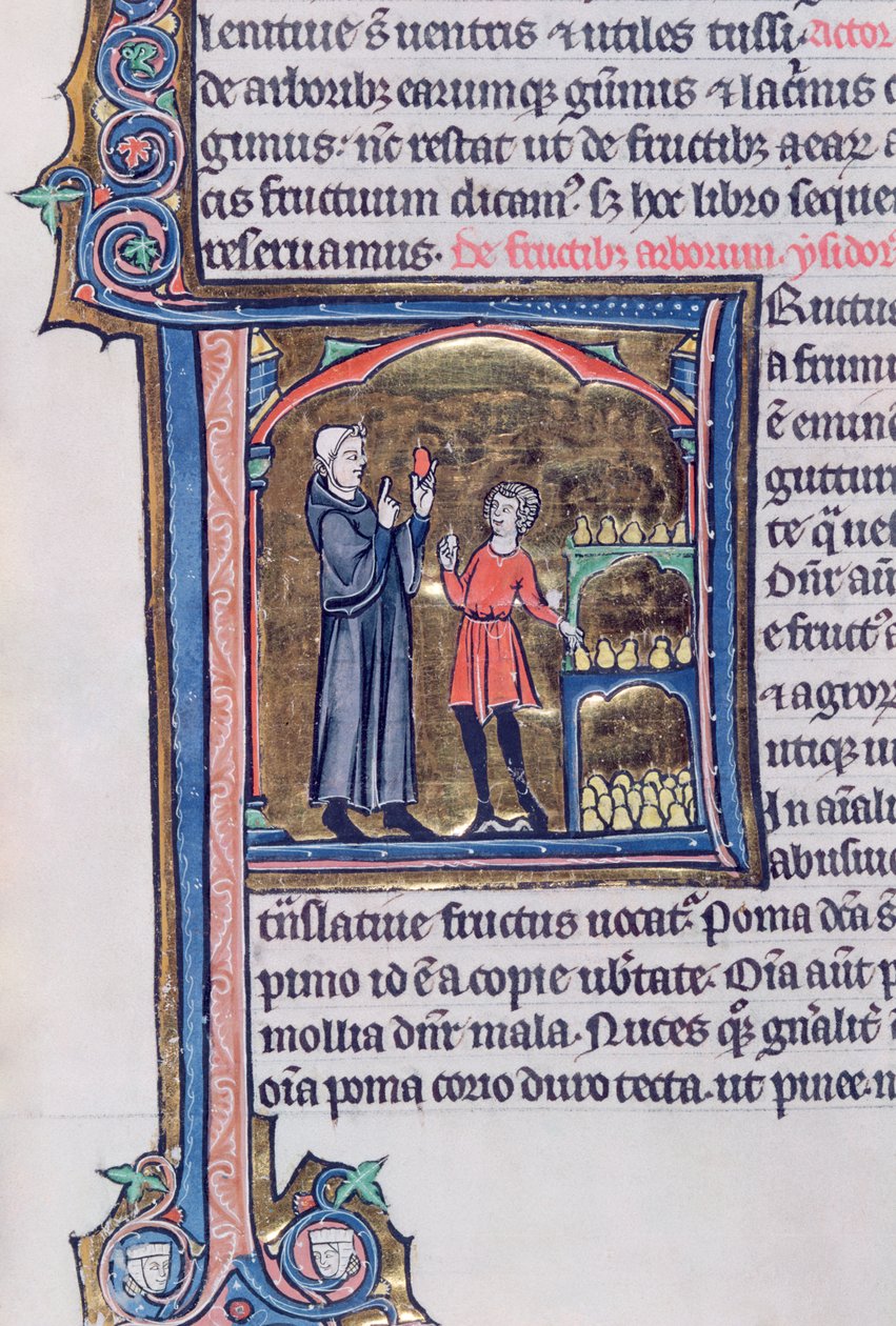 Ms 426 fol.135 Undervisning om den beste måten å konservere pærer på, fra Le Miroir de la Nature av Vincent de Beauvais av French School