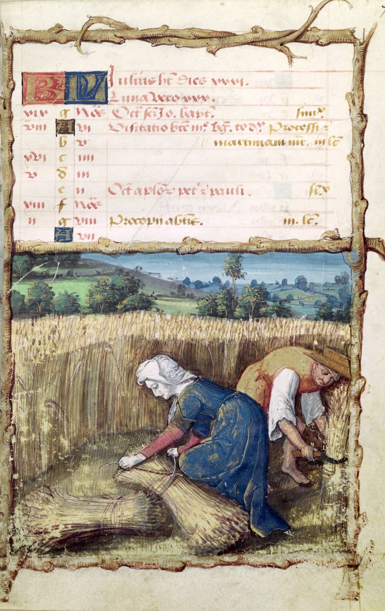Ms 438 The Month of July: Reaping and Harvesting Wheat, from a Book of Hours, 1490 av French School
