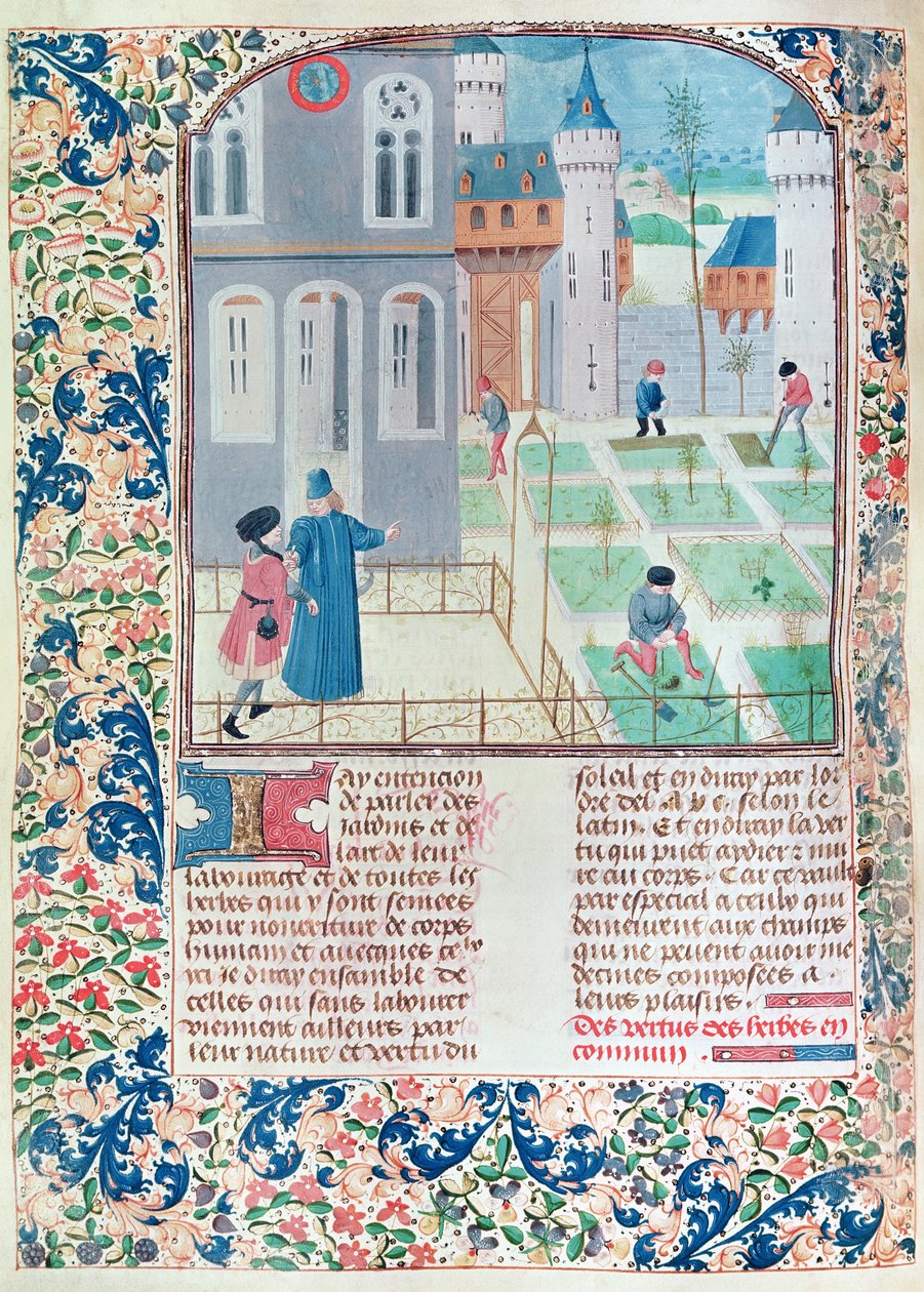Ms 5064 f.151v The Garden, illustrasjon fra Le Livre des Prouffitz Champestres av Pietro de Crescenzi (1230-132021) av French School
