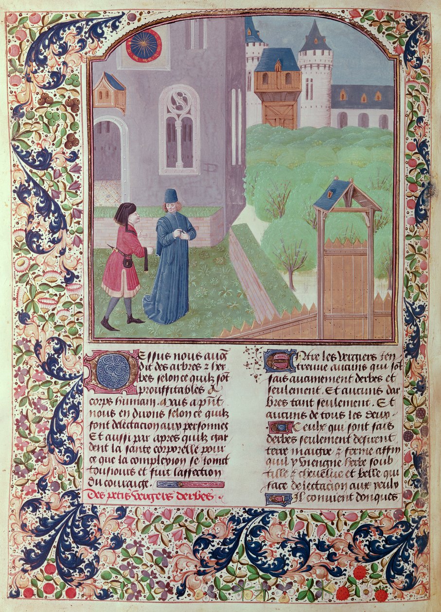 Ms 5064 f.202v The Orchard, illustrasjon fra Le Livre des Prouffitz Champestres av Pietro de Crescenzi (1230-132021) av French School