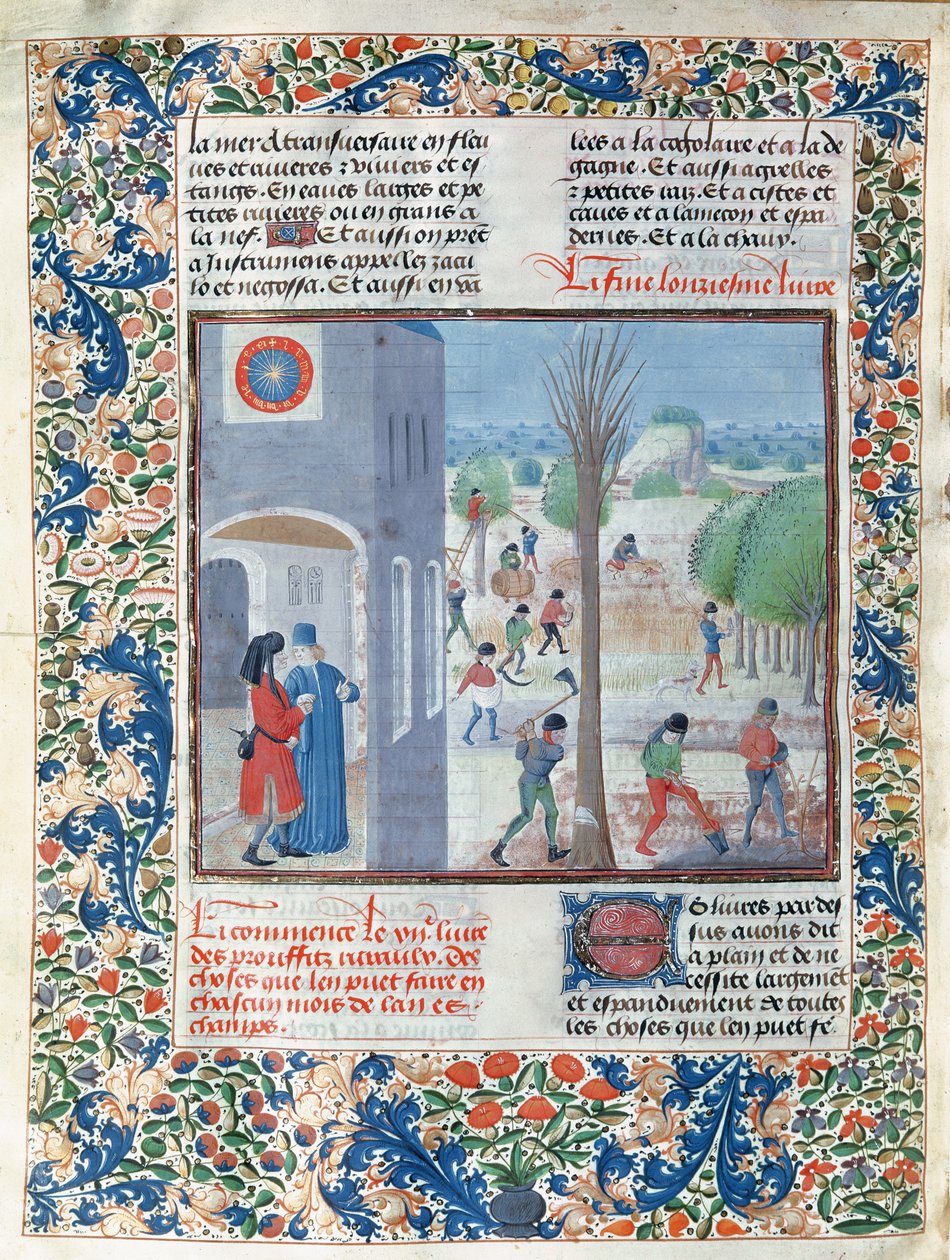 Ms 5064 f.299v Yrker for hver måned i året, illustrasjon fra Le Livre des Prouffitz Champestres av Pietro de Crescenzi (1230-132021) av French School