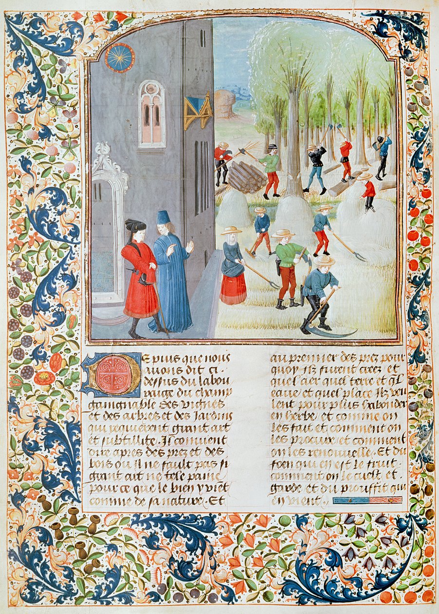 Ms 5064 fol.198v Cutting Trees and Harvesting, fra Livre des Prouffitz Champestres av Pietro de Crescenzi (1230-132021) av French School