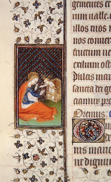 Ms 62, f.205v: Virgin and Child, detalj fra en fransk timebok, ca. 1445-50 (vellum) av French School