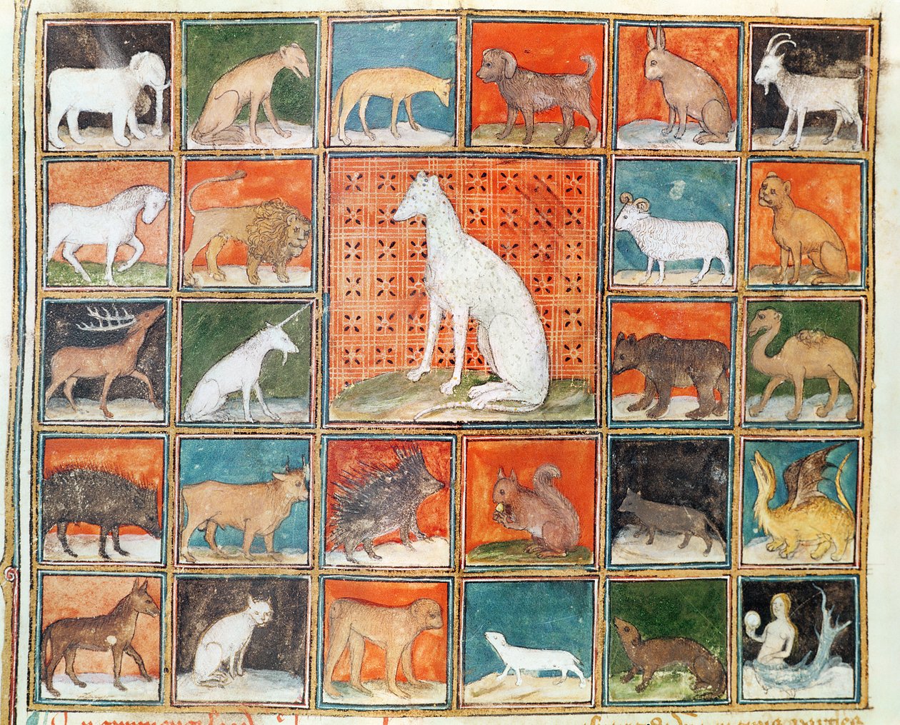 Ms 993 fol.254v Dyrenes egenskaper: pattedyrene, fra Le Livre des Proprietes des Choses av Jean Cordichon av French School