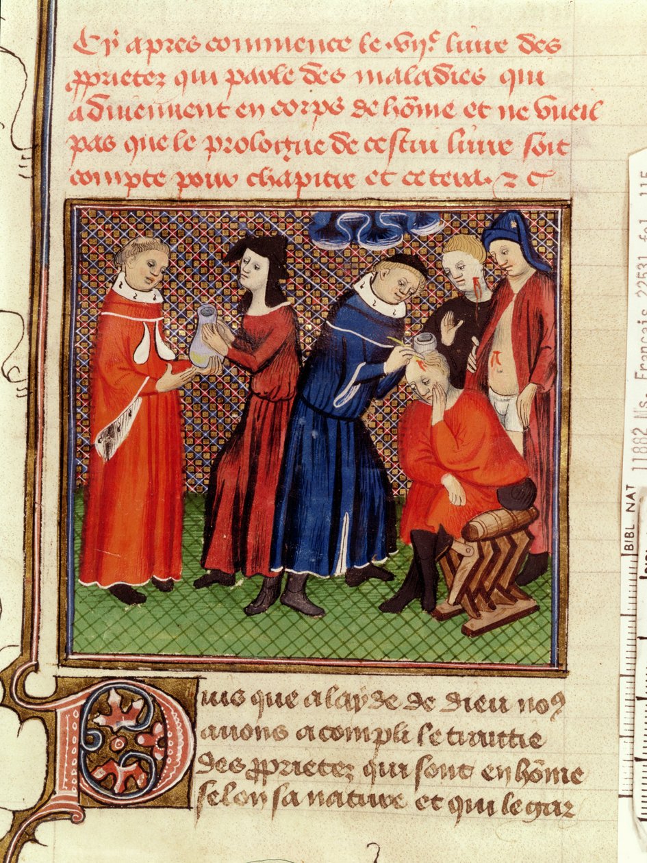 Fr 22531 Fol.115 Urinundersøkelsen og sårheling, fra Le Livre des Proprietes des Choses av Barthelemy lAnglais, ca. 1410-15 av French School