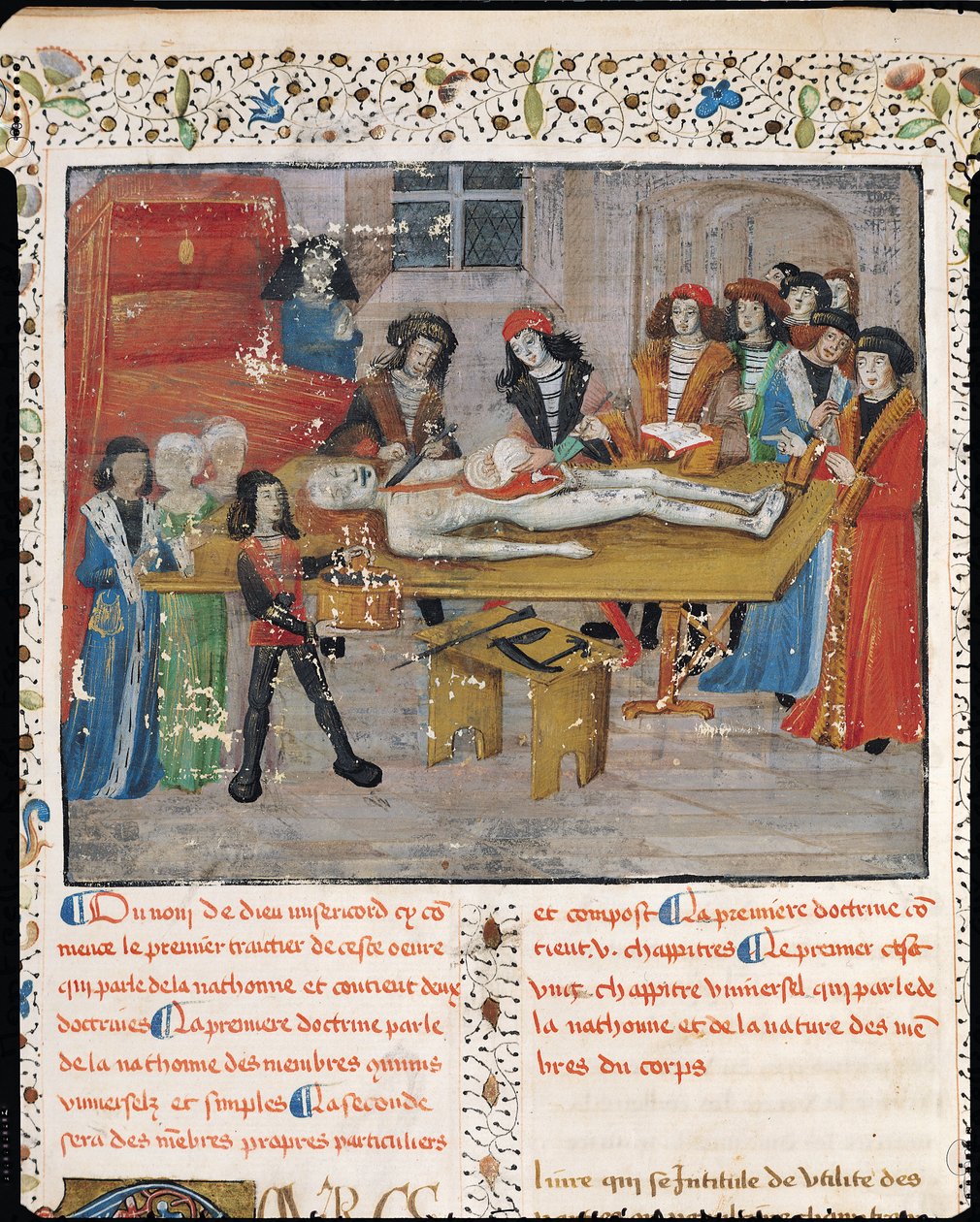Ms H 184 fol.14v Disseksjonstime ved Det medisinske fakultet i Montpellier, fra 'La Grande Chirurgie' av Guy de Chauliac, 1363 av French School