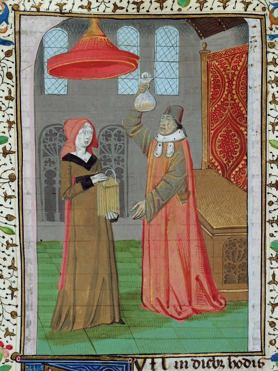 Ms H 7 fol.164r En lege som undersøker St. Elizabeths urin for å se om hun er gravid, fra Bibelen til Jean XXII av French School