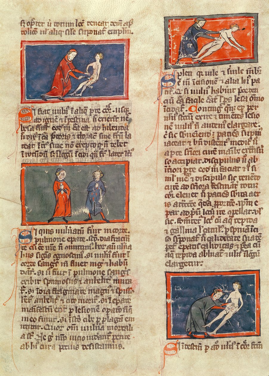 Ms H 89 fol.21v Anatomiske figurer, fra en utgave av 'Book of Surgery' av Rogier de Salerne av French School