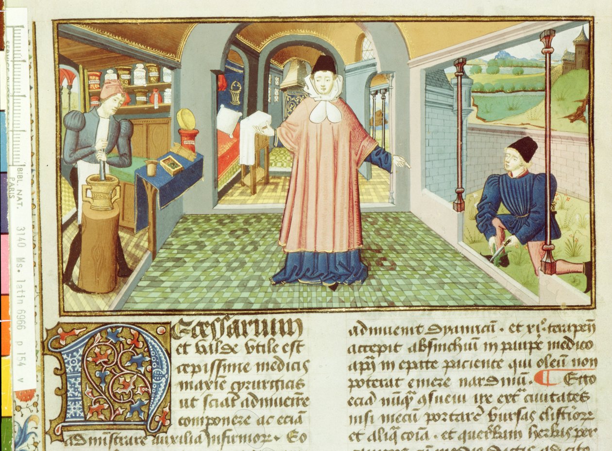 Ms Lat 6966 fol.154v Å kutte planter og tilberede medisin, fra LAntidotaire av Bernard de Gordon av French School