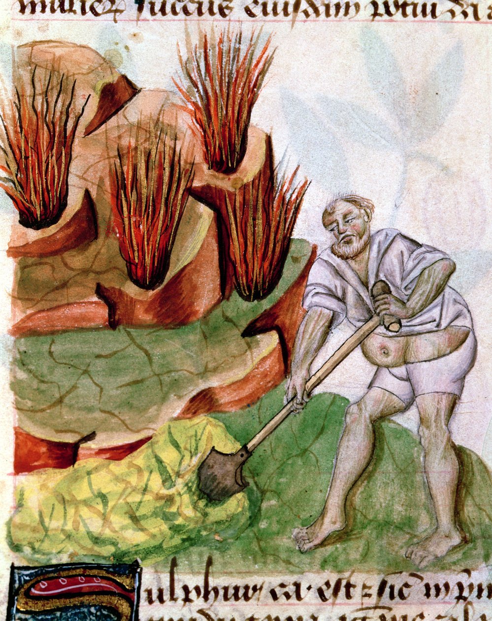 Ms Lat 993 L.9.28 f.123v Looking for Sulphur, fra Dioscorides De Herbis av French School