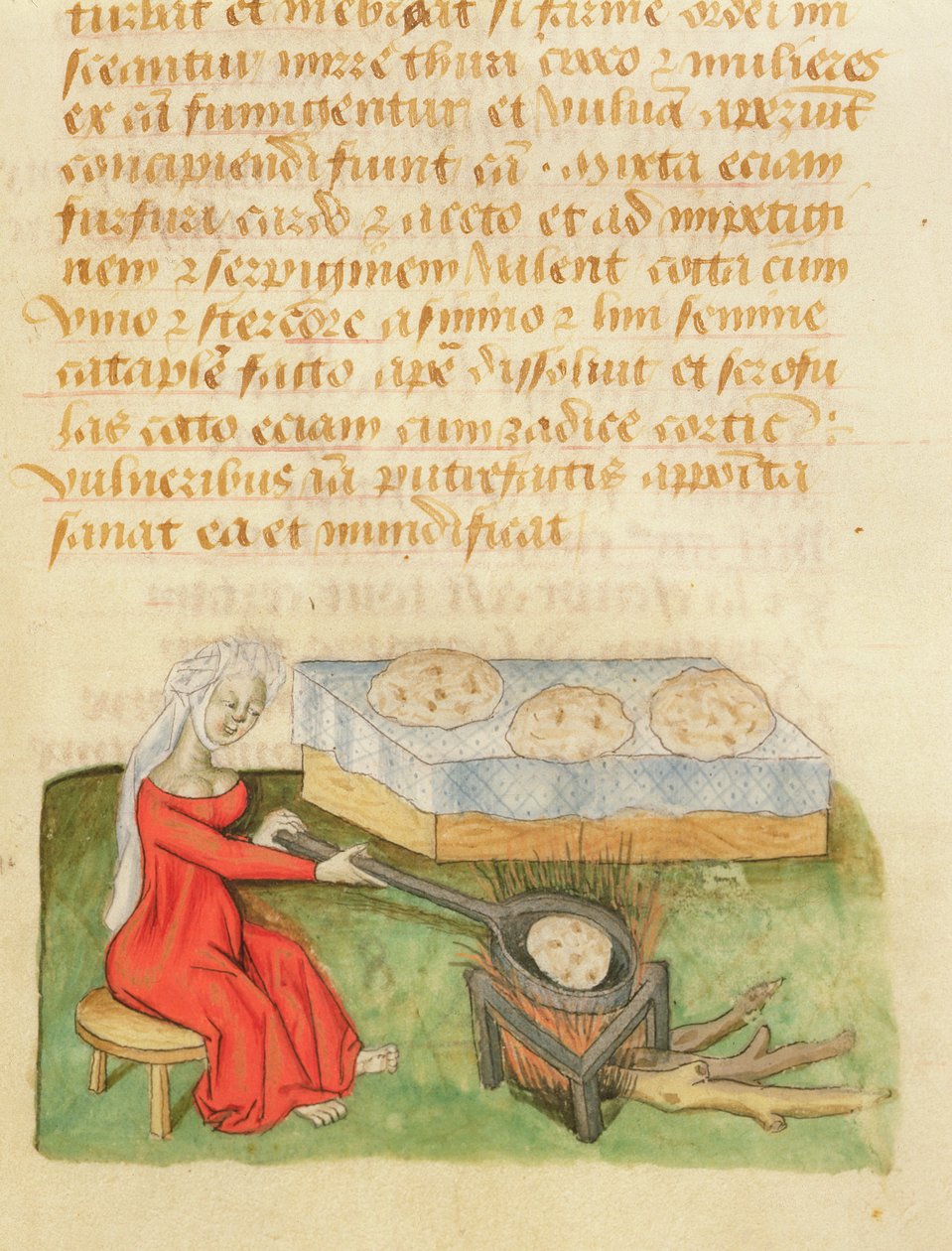 Ms. Tractatus de Herbis av Dioscorides, fol.142r Bakeboller av French School