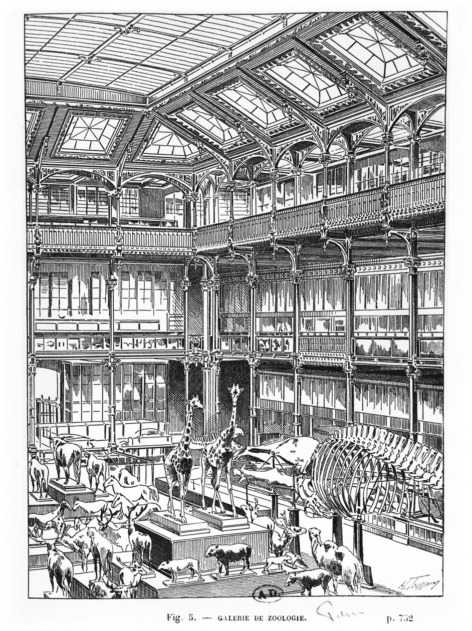 Naturhistorisk museum i Paris av French School