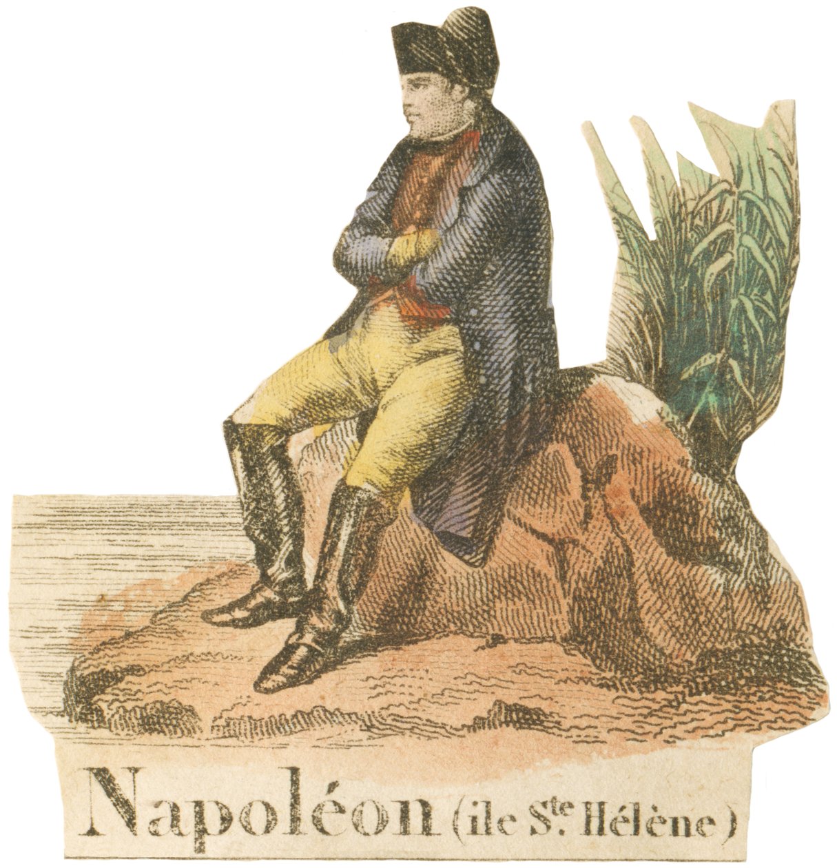 N som Napoleon av French School