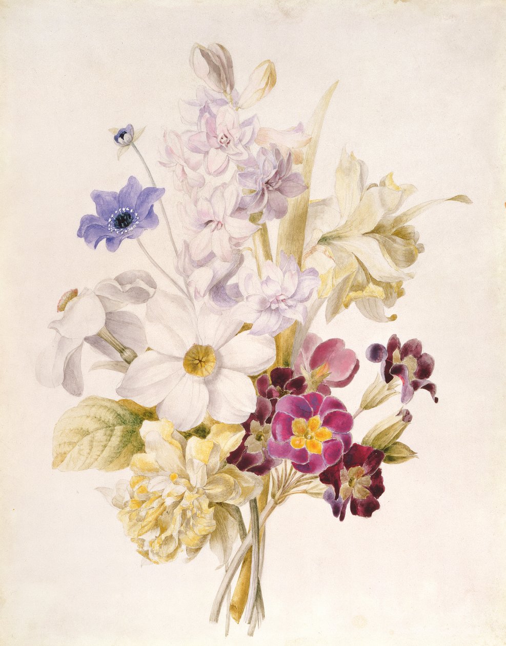 Narcissus og andre blomster, 1840 (wc på papir) av French School