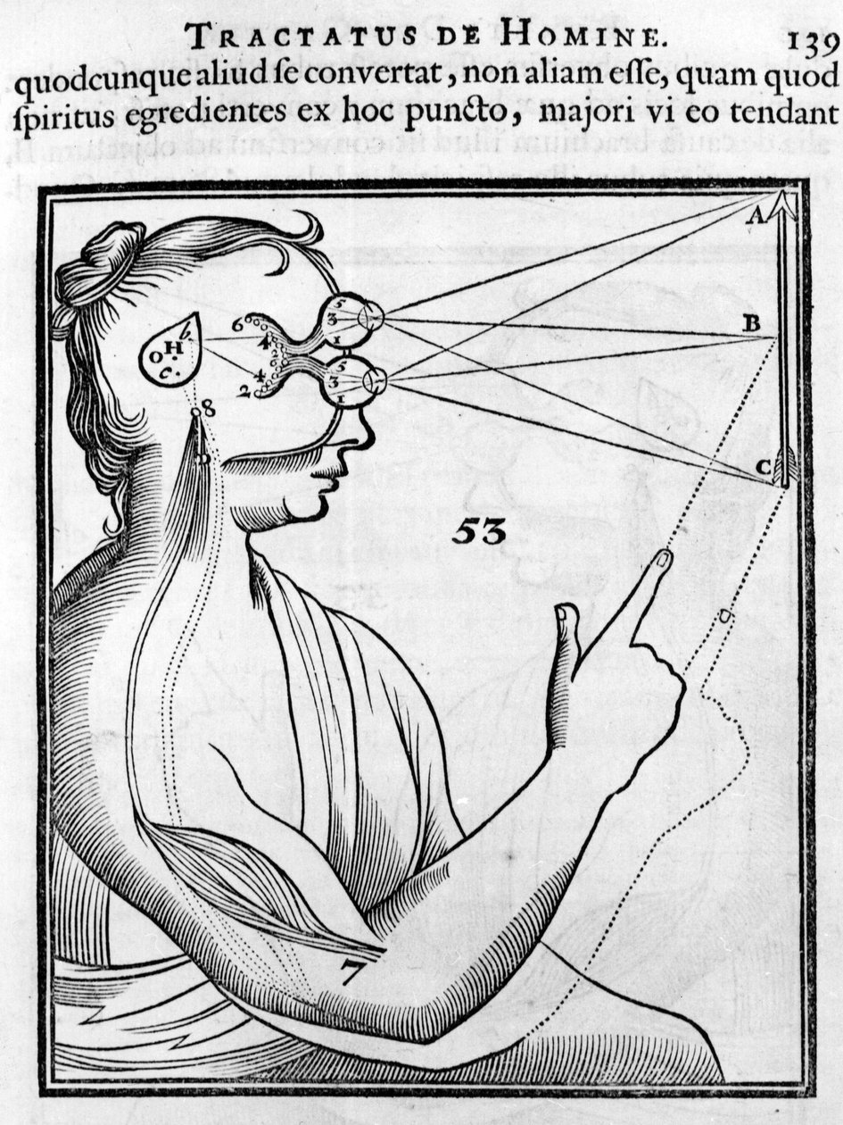 Oftalmologi: øyet og synet. Fra «Tractatus de Homine» av Rene Descartes av French School