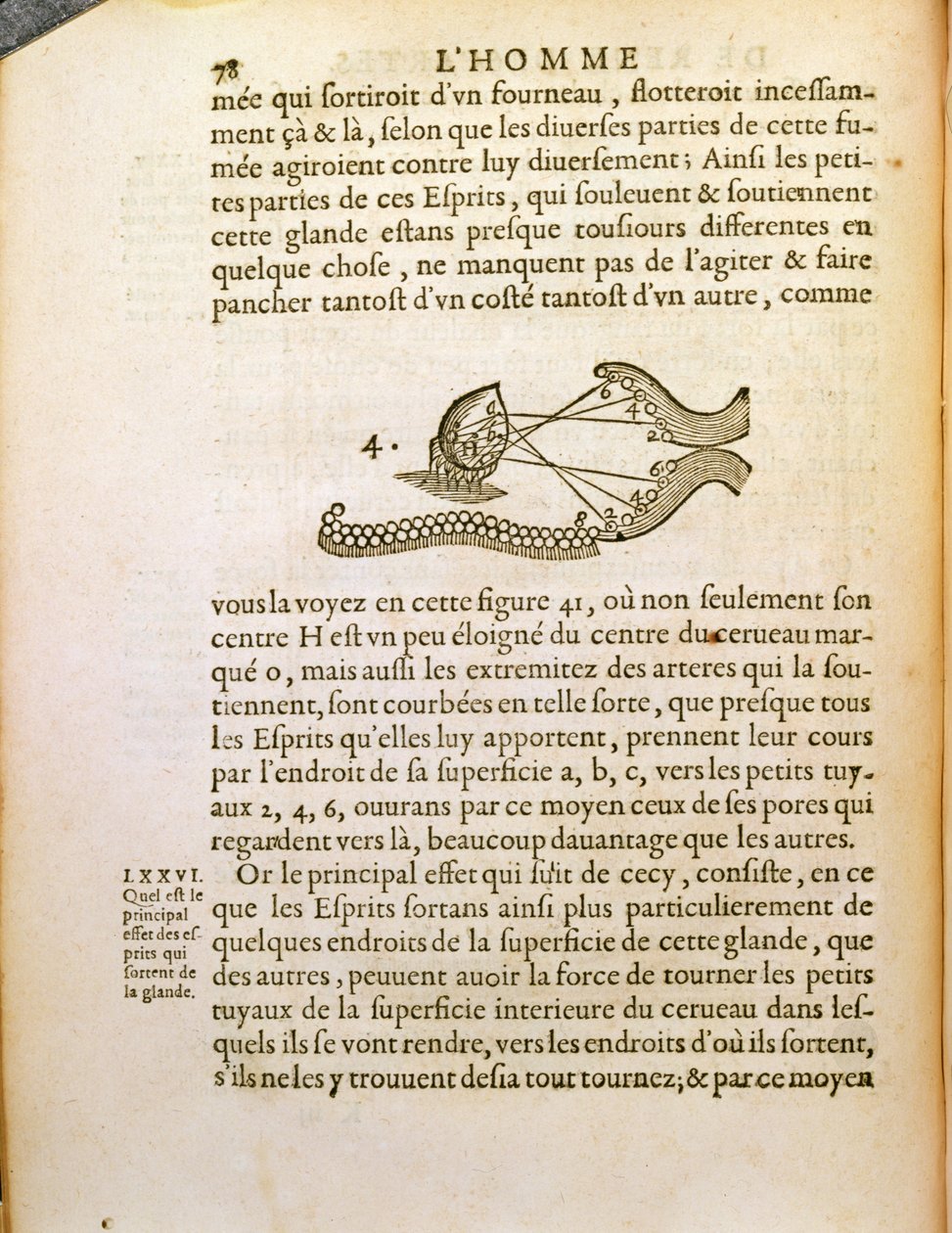 Optisk diagram, fra De Homine Figuris av Rene Descartes (1596-1650) publisert i Haag, 1662 av French School