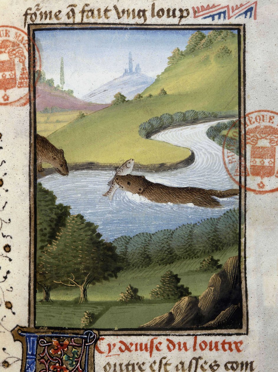 Otter - i "" Hunting Book of Gaston Phoebus, Count of Foix, Lord of Béarn"" av French School
