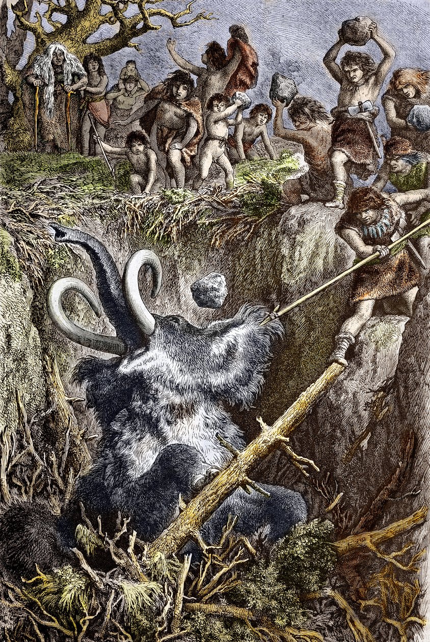 Paleolittisk: mammutjaktscene, en stamme av forhistoriske menn kaster steiner mot et mammutfall i en grop (paleolittisk tid: Europeiske hulemenn som jakter en mammut falt i en grop) Gravering av 1800-tallets privatsamling av French School