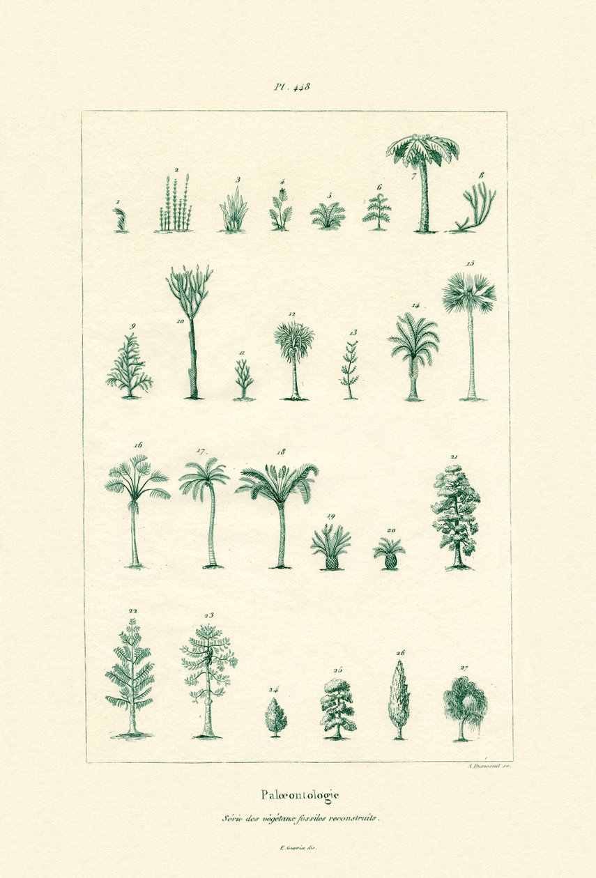 Paleontologi, 1833-39 av French School