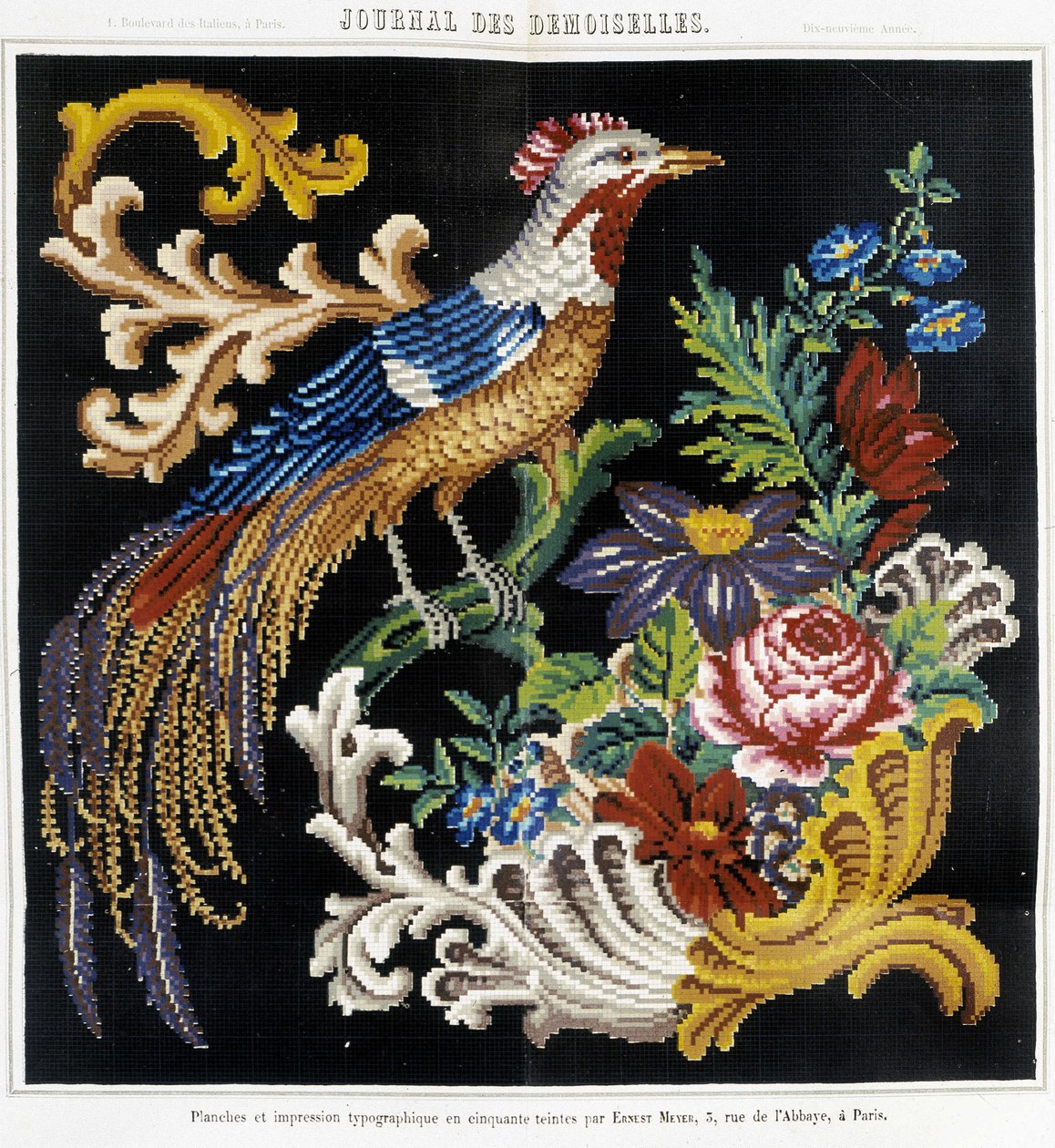 Mønster for korsstingbroderi (paradisfugl) - i "" Journal des Demoiselles"" 1852. av French School
