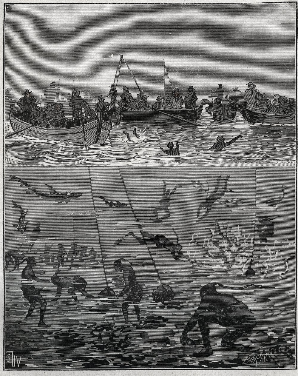 Perlefersken på Ceylon (dagens Sri Lanka) på 1800-tallet. Gravering fra 1885 i "" Les arts et metiers illustres"" av Adolphe BITARD. av French School