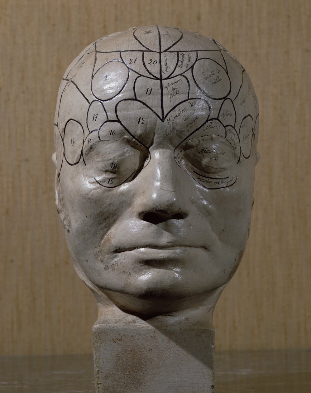 Frenologisk leder av Jean Martin Charcot (keramikk) av French School
