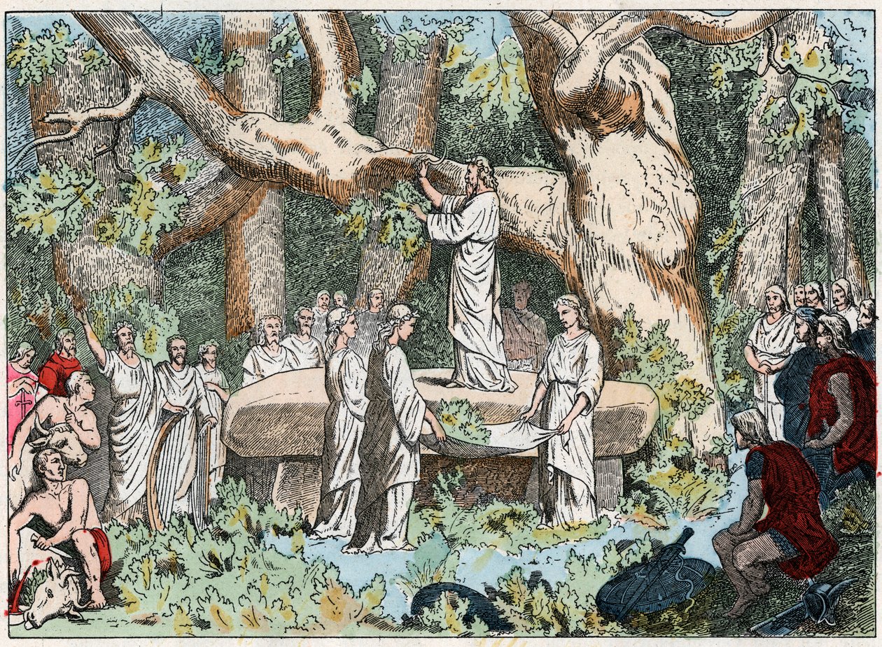 Å plukke misteltein fra druidene i Gallia, slutten av 1800-tallet (gravering) av French School