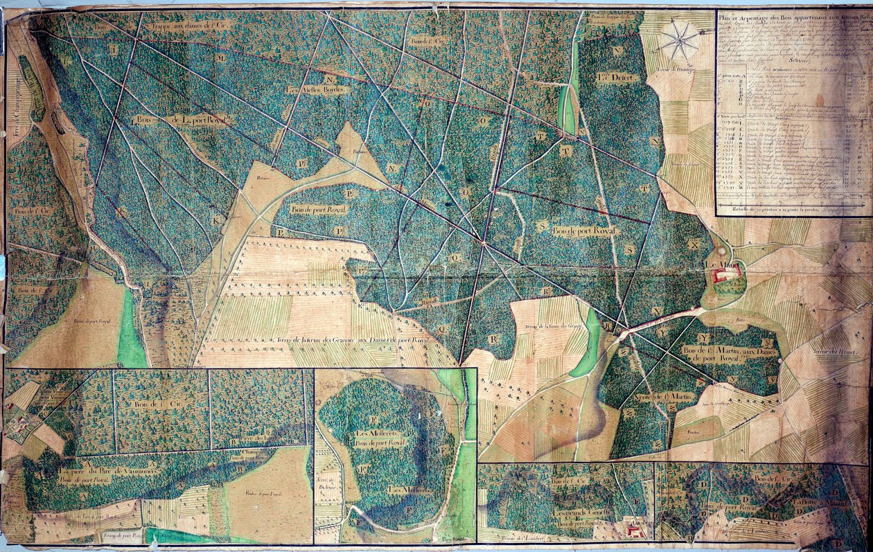 Plan og kartlegging av skogen som tilhører nonnene i Port Royal des Champs (Port-Royal-des-Champs) 1723 Paris, Archives nationales av French School