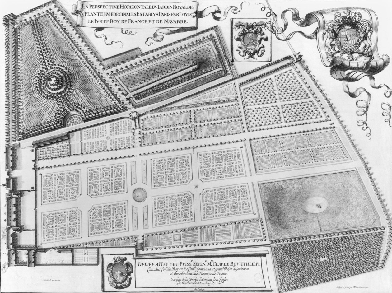 Plan for den kongelige hage for medisinplanter i Paris, 1641 av French School