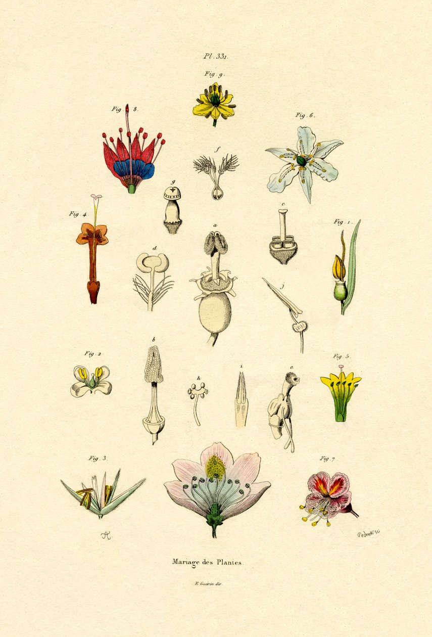 Planteavl, 1833-39 av French School