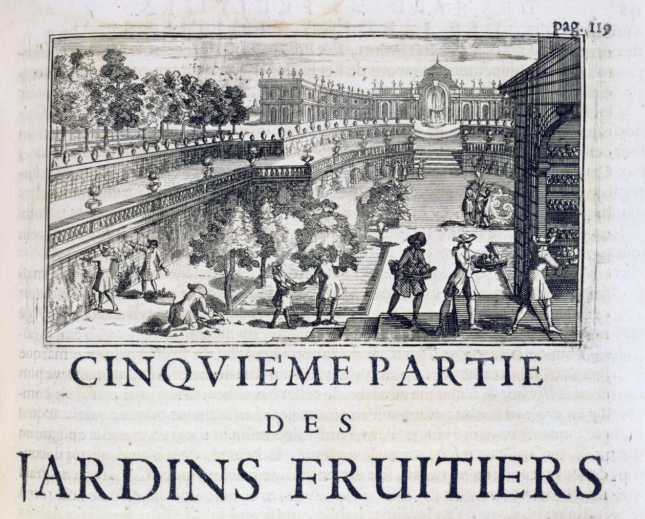 Planting av frukttrær, fra Le Parfait Jardinier, eller Instruction pour les Jardins Fruitiers et Potager, av Jean de la Quintinye, utgitt 1695 av French School
