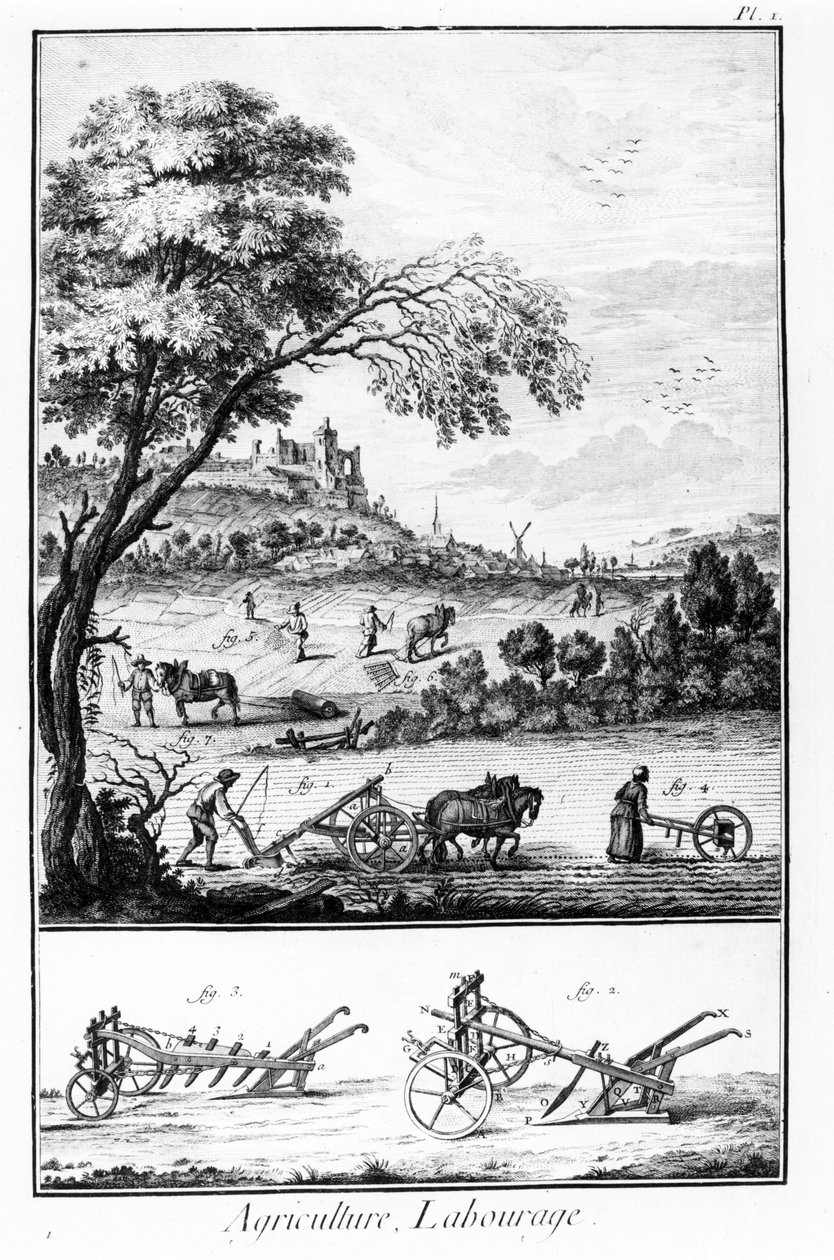 Plate av Encyclopedia of Diderot and Alembert: Agriculture and Ploughing. 18. århundre. av French School