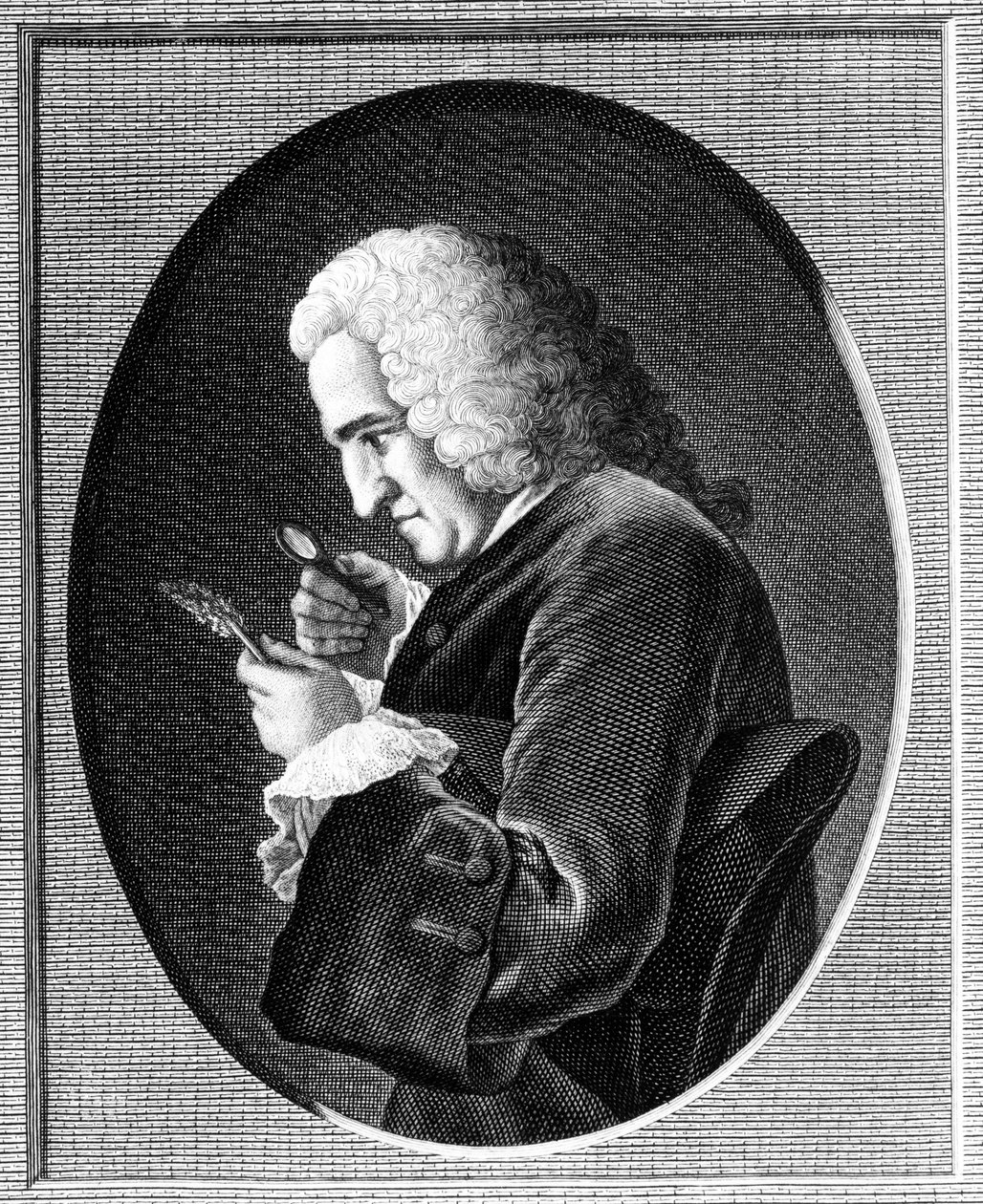 Portrett av Bernard de Jussieu (1699-1777) av French School