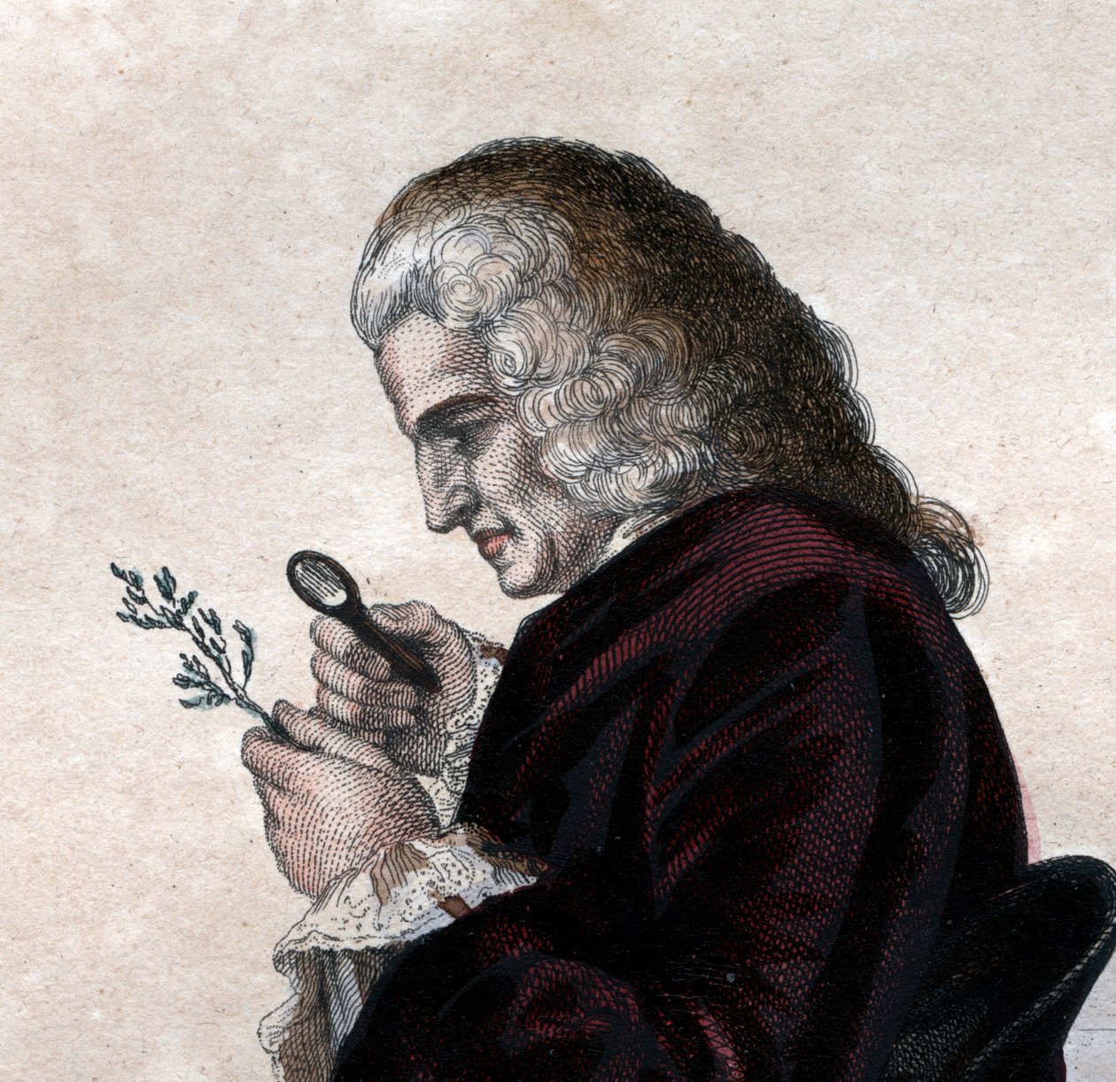 Portrett av Bernard de Jussieu (1699-1777), fransk naturforsker. av French School