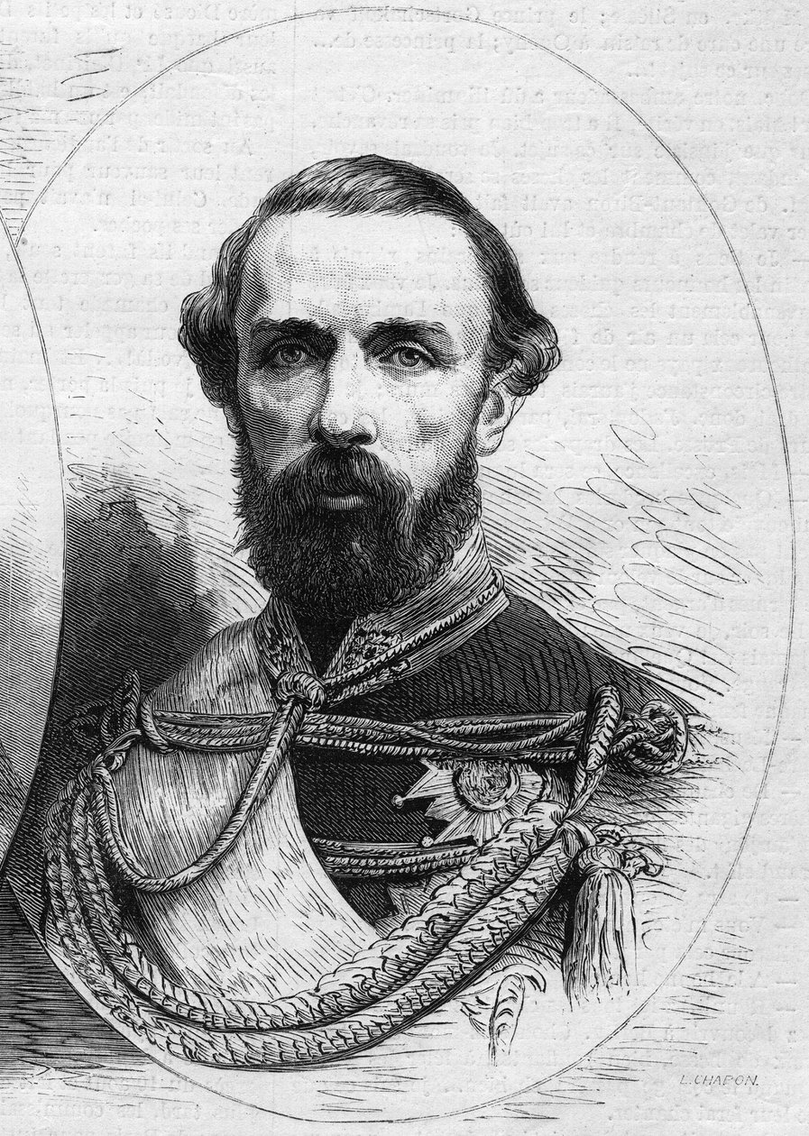 Portrait of Charles XV (Karl XV av French School