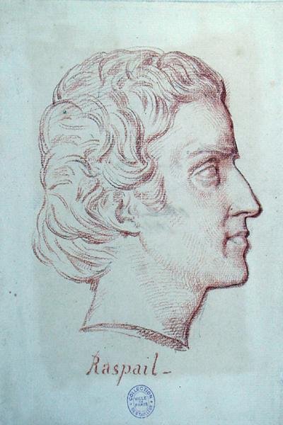 Portrett av Francois Vincent Raspail (1794-1878) (rødt kritt på papir) av French School