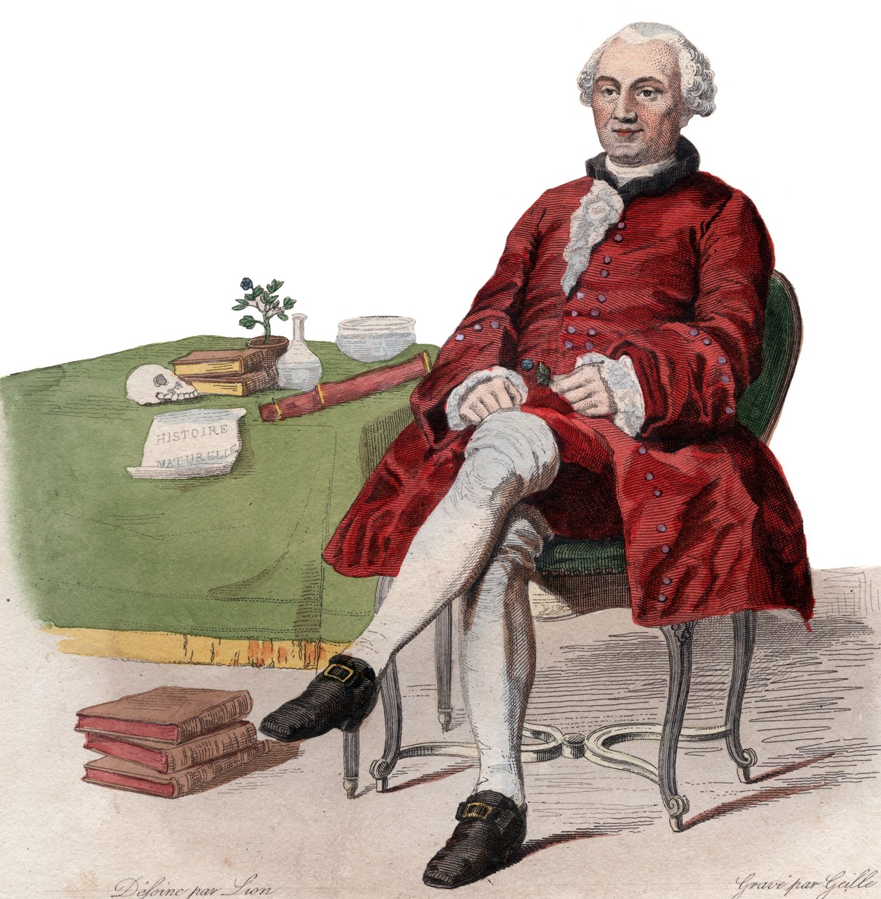 Portrett av Georges Louis Leclerc, Comte de Buffon (1707-1788), fransk naturforsker. av French School