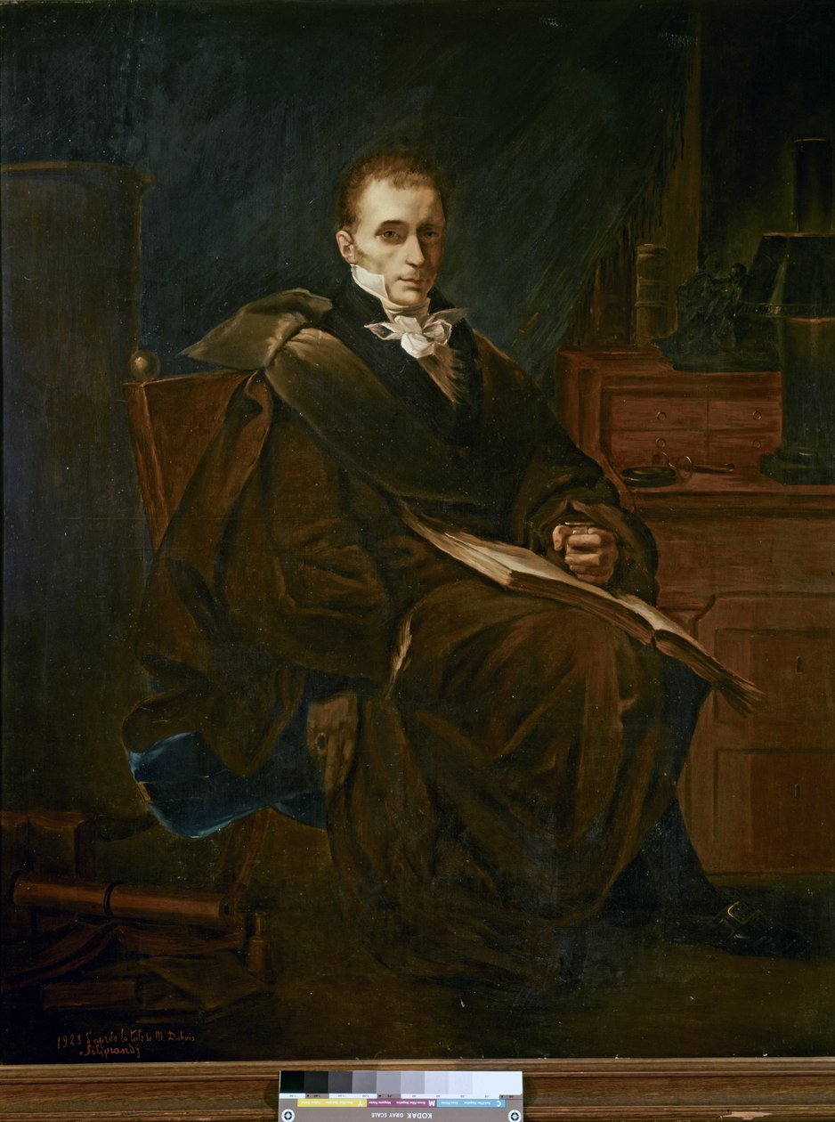 Portrett av René-Théophile-Hyacinthe Laennec (olje på lerret) av French School