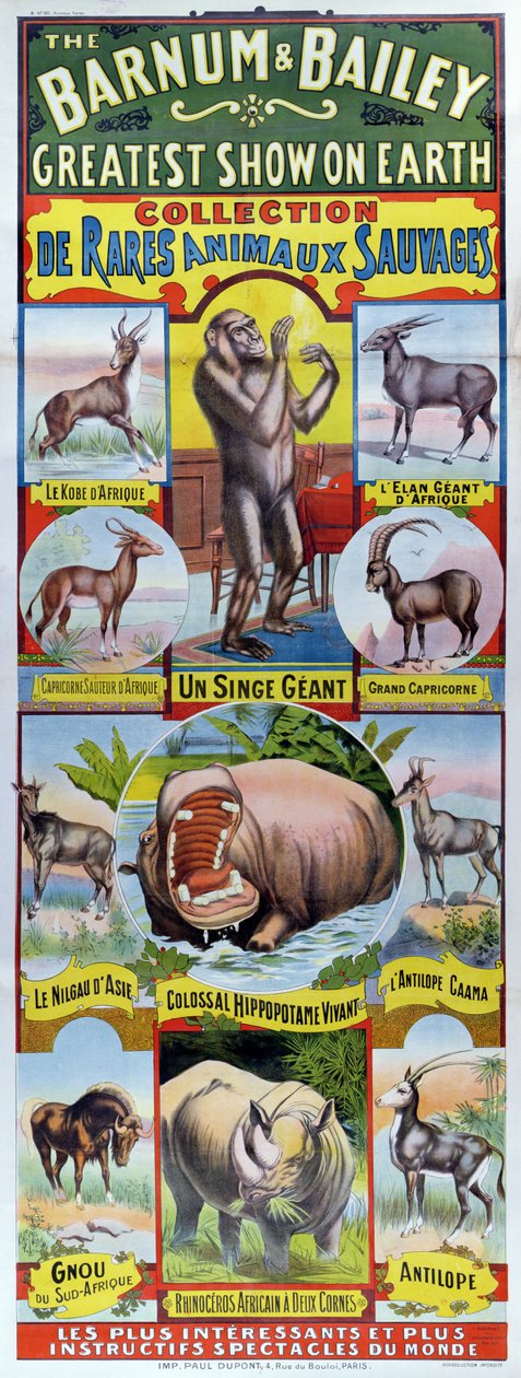 Plakat som reklamerer for Collection de Rares Animaux Sauvages for Barnum og Bailey-sirkuset av French School