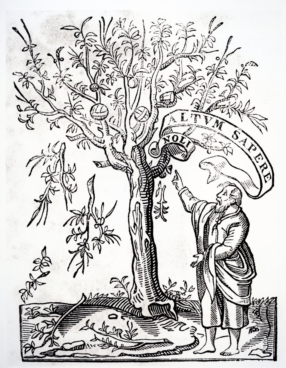 Skriverens emblem til Robert Estienne, Paris, 1526 av French School